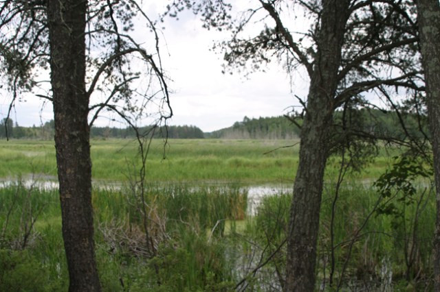 bear den landing view