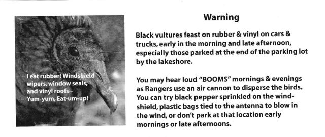 This flyer comes with other park information when you enter Myakka River State Park in Florida