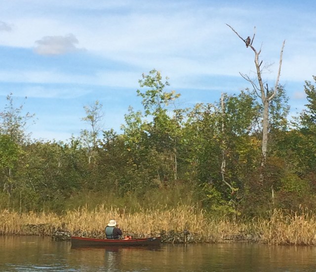 highres_442436270.jpegC