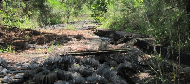Here's another visible section. (Photo by Ron Haines)