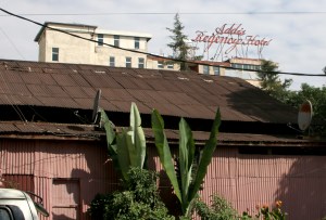 img_8663c