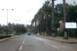 IMG_8712c