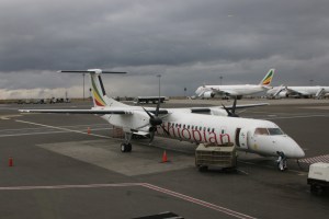 IMG_8781c