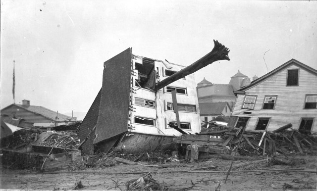 johnstown-tree-in-house